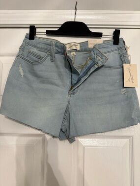 Universal Thread Light Blue Distressed Denim Shorts